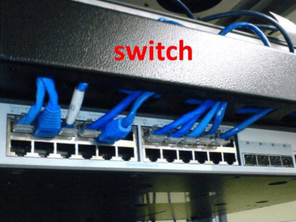 High-speed Cat 6 Ethernet cable - 3 meters - blue — product image 4