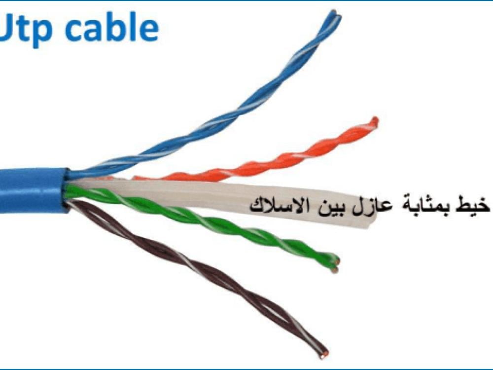 High-speed Cat 6 Ethernet cable - 3 meters - blue — product image 8