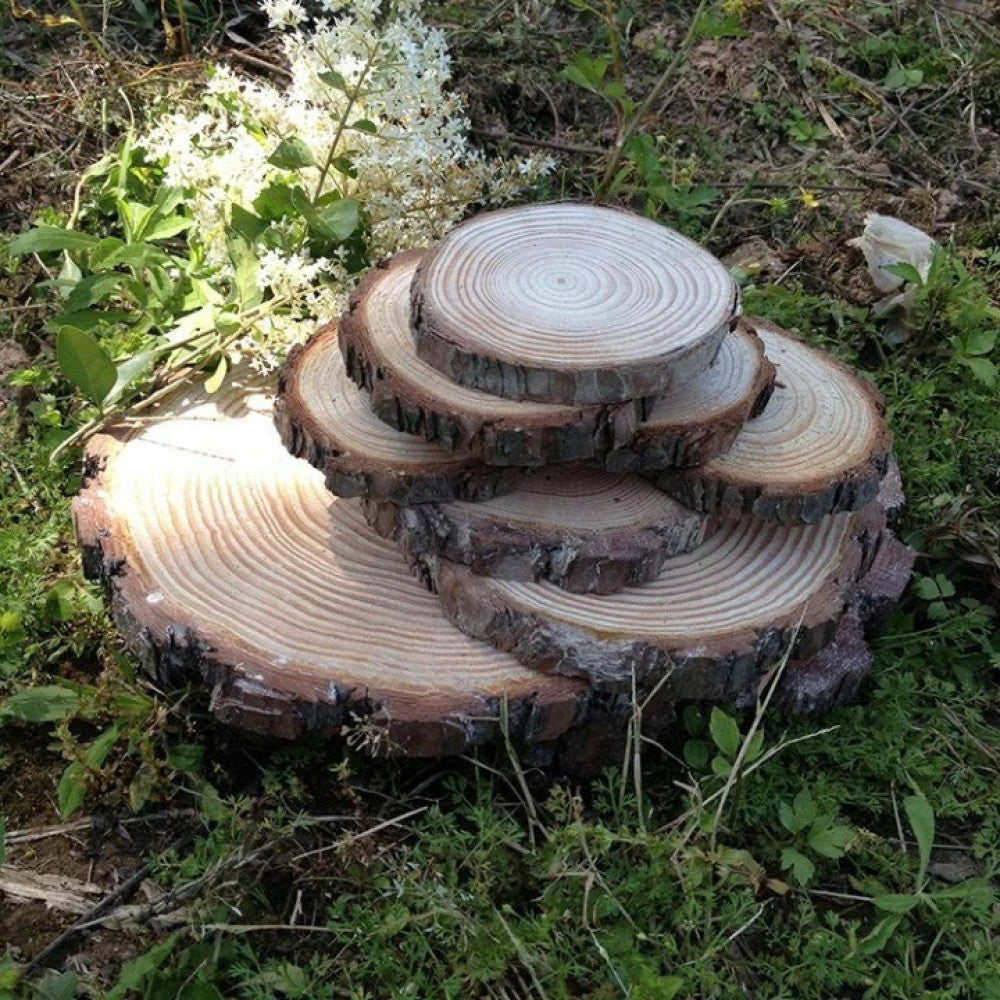 Natural wood trunk in circle shape — product image 7