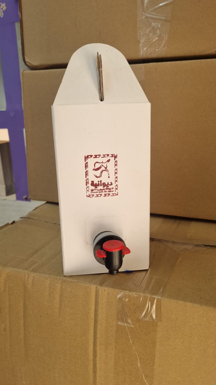 Custom Branded Bag-in-Box Cardboard Packaging with Plastic Dispensing Tap