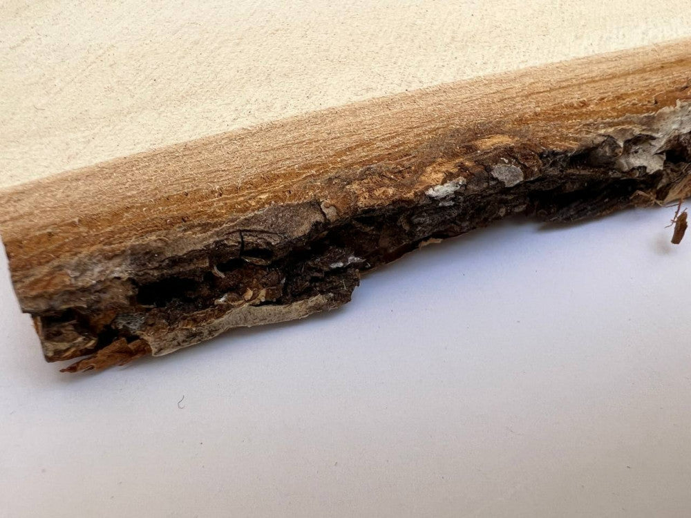 Natural wood trunk, rectangular shape — product image 5