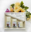 Coconut scented candle set, 3 pieces in an elegant plain box — product image 1