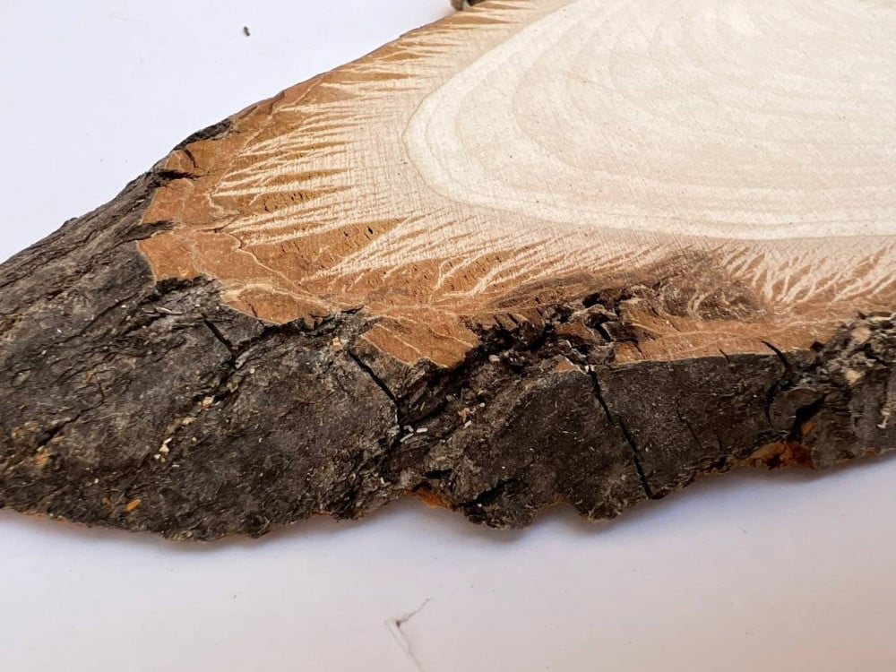 Natural wood log, oval shape, size 25 cm — product image 2